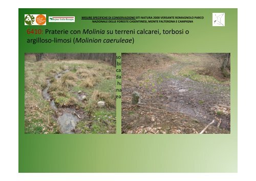 Minacce - Parco Nazionale delle Foreste Casentinesi