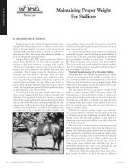 Maintaining Proper Weight For Stallions - California Thoroughbred ...