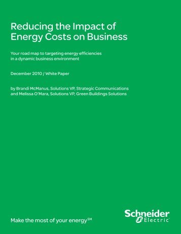 Reducing the Impact of Energy Costs on Business - Schneider Electric