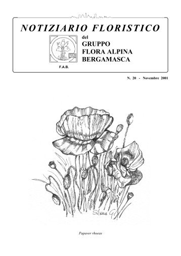 NOTIZIARIO FLORISTICO - FAB