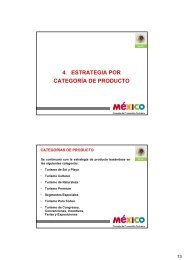 4. ESTRATEGIA POR CATEGORÃA DE PRODUCTO - CPTM