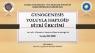 gynogenesis - Ziraat FakÃ¼ltesi - Ankara Ãniversitesi