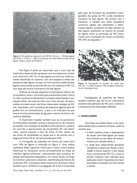 Visualizar PDF - Tecnologia em Metalurgia, Materiais e Mineração