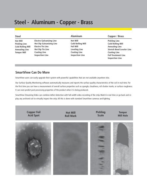 SmartView Metals - Cognex