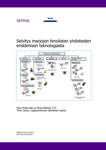 Selvitys marjojen fenolisten yhdisteiden eristämisen ... - Sitra