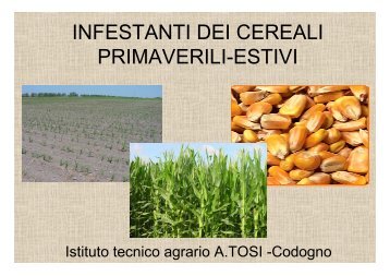 Infestanti cereali primaverili-estivi_1.pdf - andreascapin