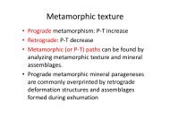 Metamorphic texture