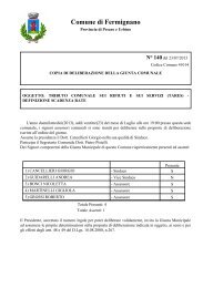 2013-07-tares - Comune di Fermignano