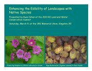 Enhancing the Edibility of Landscapes with Native Species