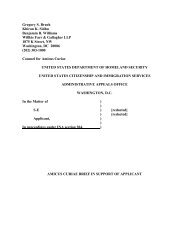 ASISTA Amicus Brief to AAO on VAWA Good Faith Marriage