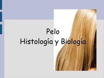 Pelo HistologÃ­a y BiologÃ­a