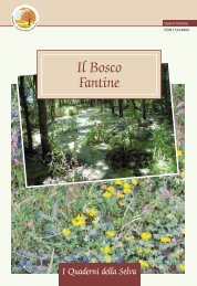 Il Bosco Fantine - Orto Botanico - Università Politecnica delle Marche