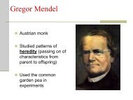 Gregor Mendel