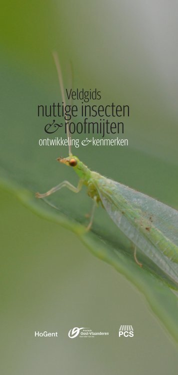 Veldgids_nuttige_insecten_roofmijten