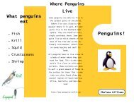 Penguin Brochure