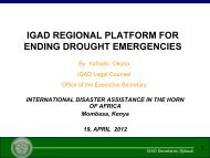 IGAD presentation.pdf - Disaster risk reduction