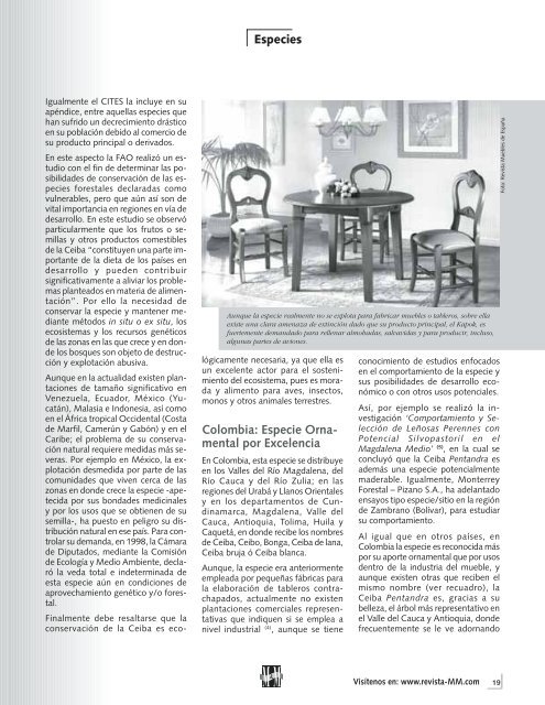 Especies Bajo la Sombra de la Ceiba... - Revista El Mueble y La ...