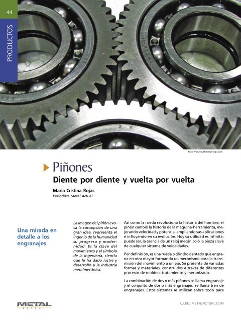 PiÃ±ones - Revista Metal Actual