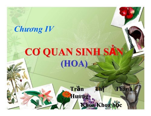 Chuong 4 (Hoa).pdf