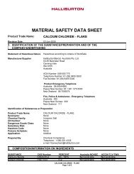 MSDS - Calcium Chloride (Halliburton) - Santos