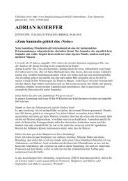 ADRIAN KOERFER - galerie christian roellin