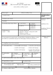 Long stay Visa Application Form(Sinhalese) - France