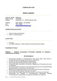 Curriculum vitae DARIO LAMANNA - CCIAA di Catanzaro - Camera ...