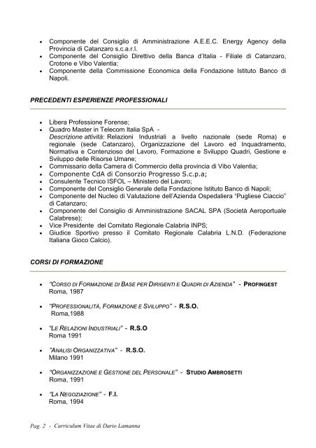 Curriculum vitae DARIO LAMANNA - CCIAA di Catanzaro - Camera ...