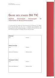 DU TIC - IUT Bayonne - UniversitÃ© de Pau et des Pays de l'Adour