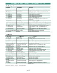 LIGAMENTS AND TENDONS OF THE HUMAN BODY