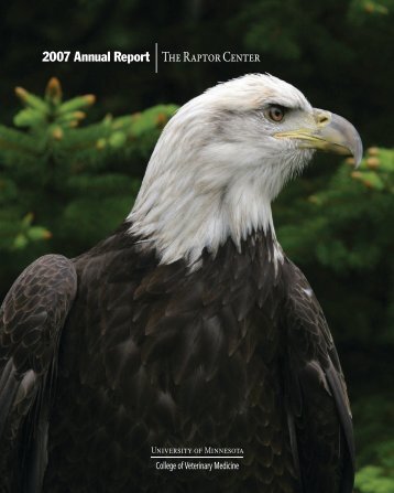 2007 Annual Report The Raptor Center - University of Minnesota ...