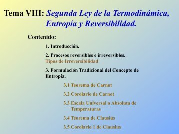 Tema VIII: Segunda Ley de la Termodinámica, Entropía y ...