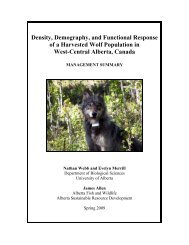 Density, demography, and functional response of a harvested wolf ...