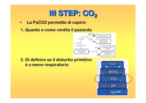 Equilibrio Acido-Base - FacoltÃ  di Medicina e Chirurgia