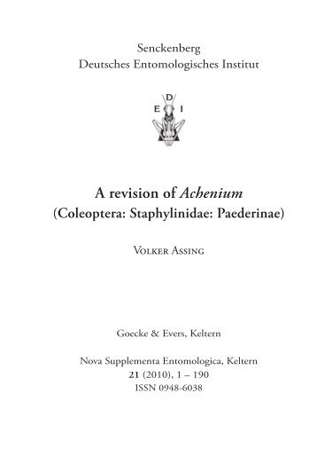 A revision of Achenium (Coleoptera: Staphylinidae: Paederinae)