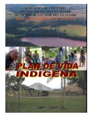 Plan de vida resguardo indígena La María Guaviare - Observatorio ...