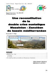 Rapport bonus Terre - Web Global OMP