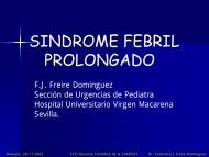 SÃ­ndrome febril prolongado