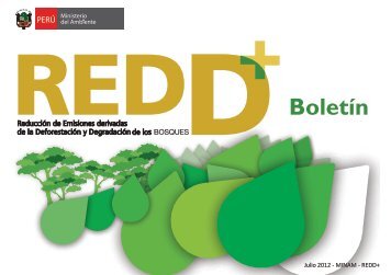 Boletín REDD+ - CDAM - Ministerio del Ambiente