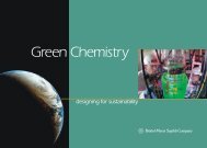 Green Chemistry Designing for Sustainability - Bristol-Myers Squibb