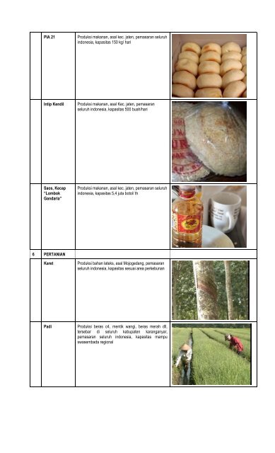 data potensi karanganyar.pdf - Biro Humas