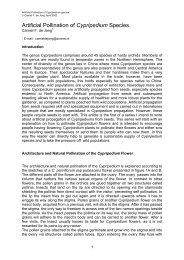 Artificial Pollination of Cypripedium Species - Cypripedium.de