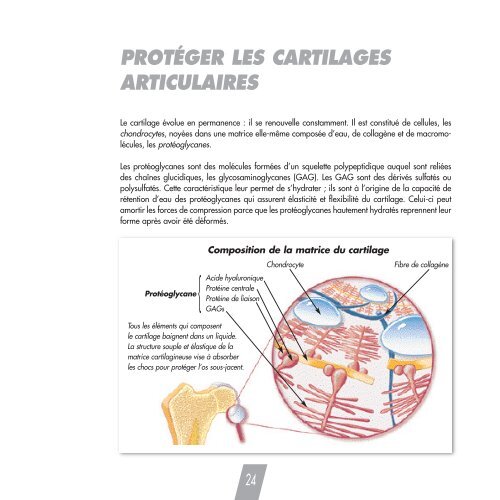 Brochure Prestige - Breed Nutrition - Royal Canin