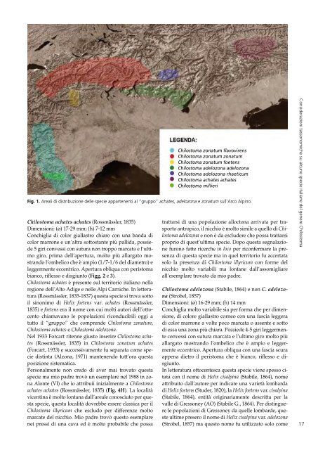 scarica il Notiziario S.I.M. - SocietÃƒÂ  Italiana di Malacologia