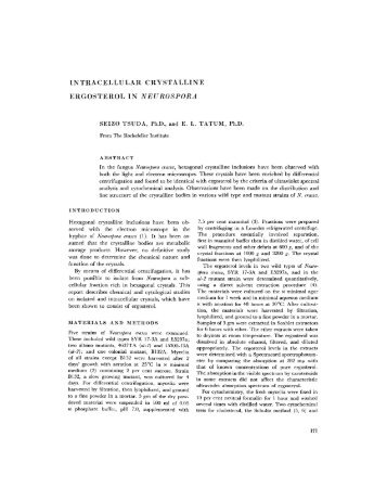 INTRACELLULAR CRYSTALLINE ERGOSTEROL IN NEUROSPORA