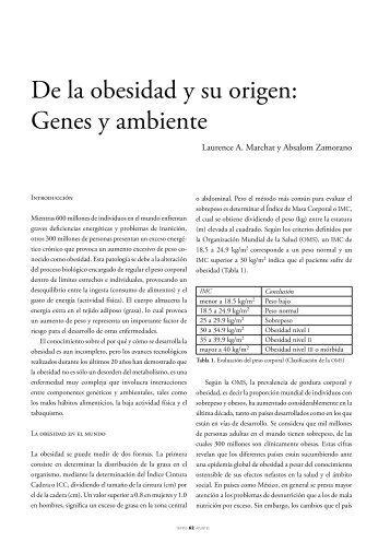 De la obesidad y su origen: Genes y ambiente - DifusiÃ³n Cultural UAM