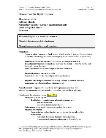 chapter 23 digestion study guide spring 09 - You Should Not Be Here