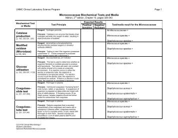 Micrococcaceae Biochemical Tests and Media - UNMC