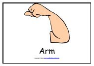 Body Parts Flashcards - ESL Kids World