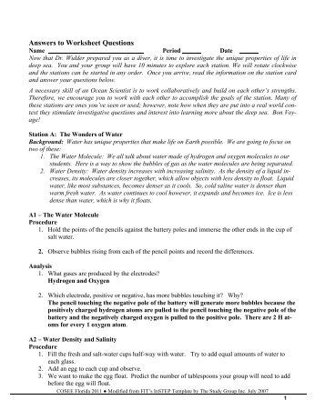 Life In the Deep Sea- Worksheets Answer Key - COSEE Florida